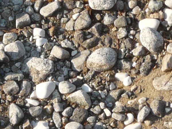Grey pebbles of various sizes covering surface of thin, brown sand.